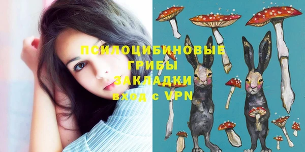 эйфоретик Зеленокумск