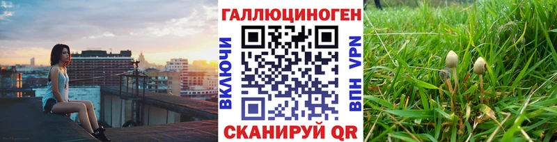 Галлюциногенные грибы Magic Shrooms  Купить  Новоузенск 